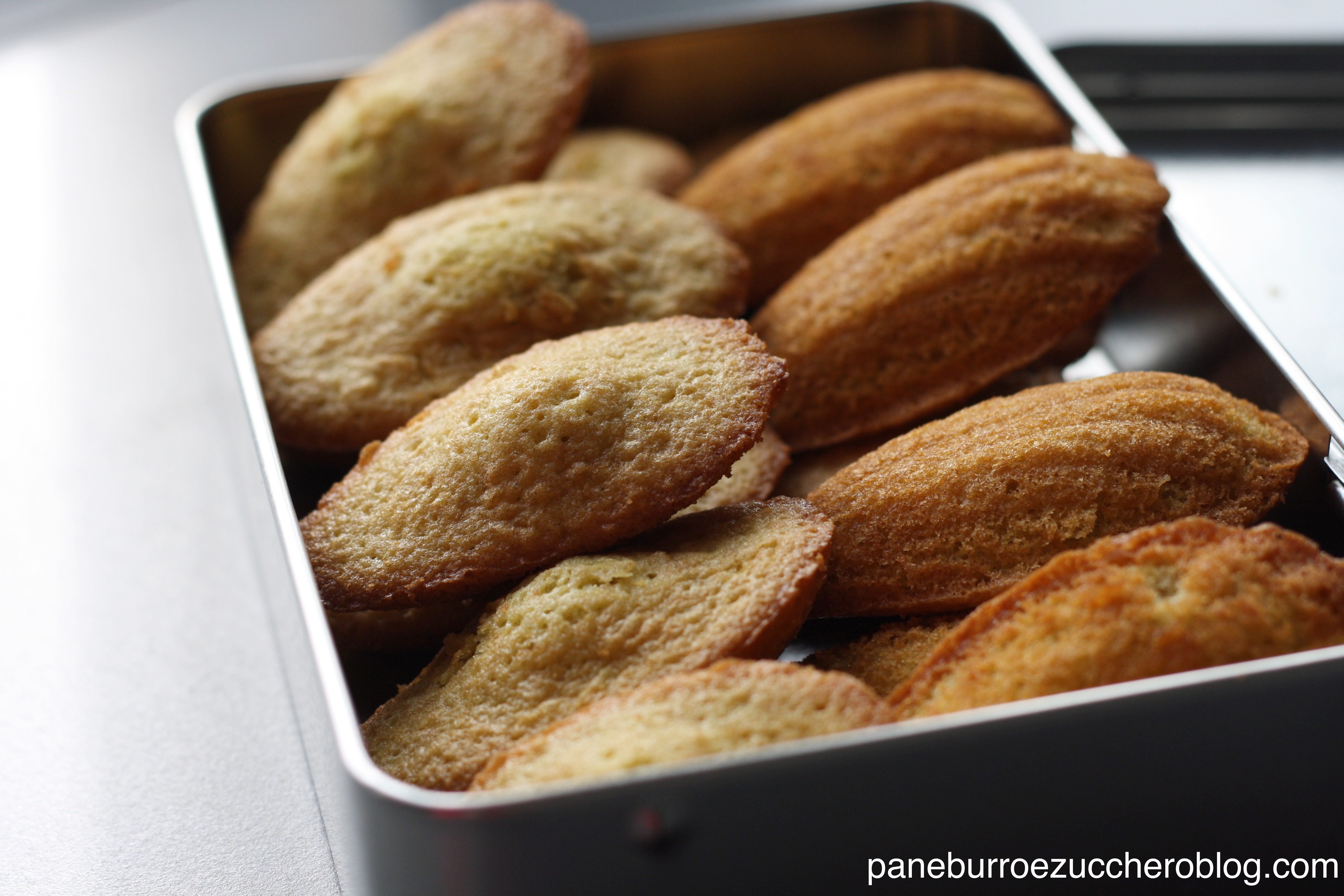 Madeleines 3
