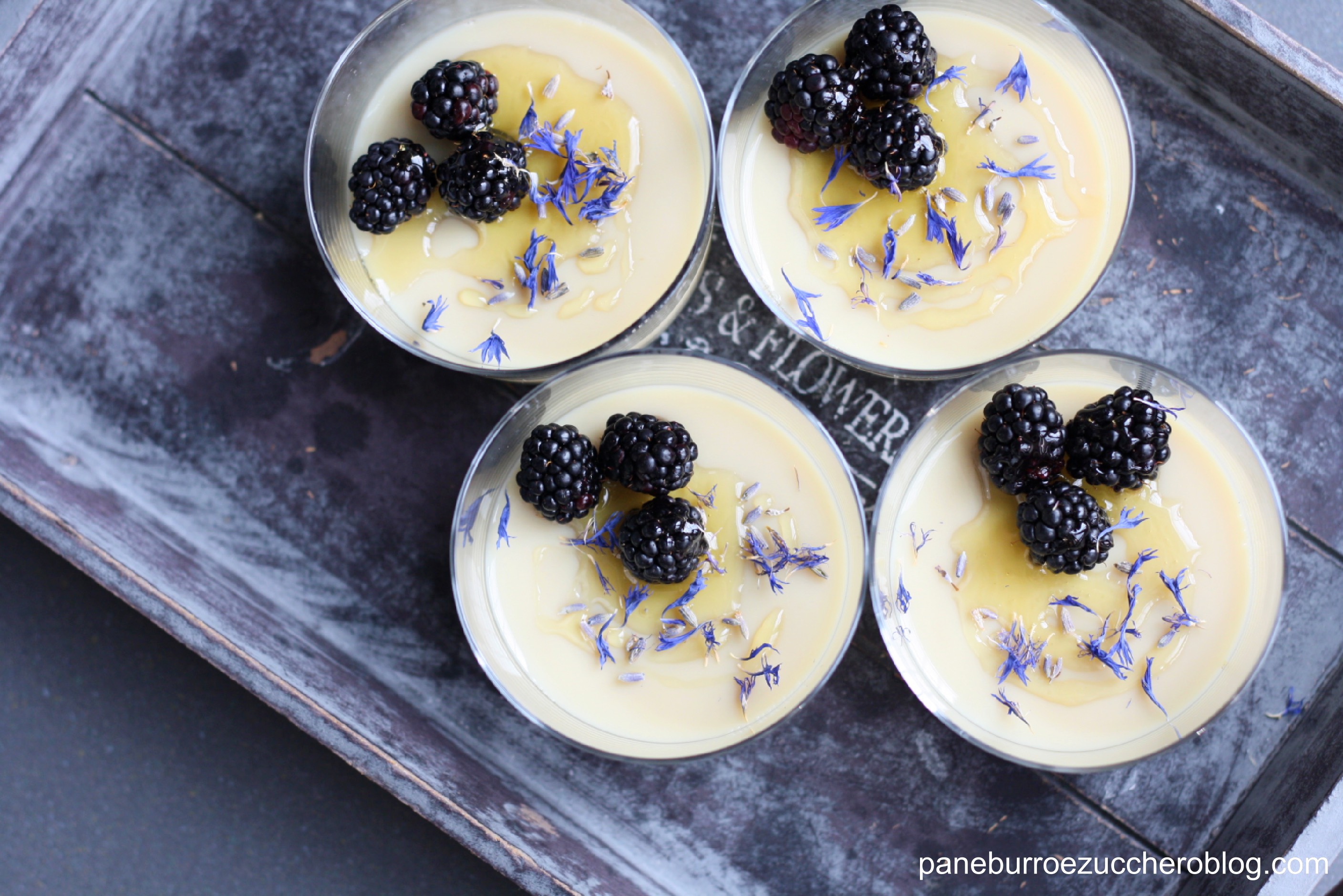 pannacottacamomilla3