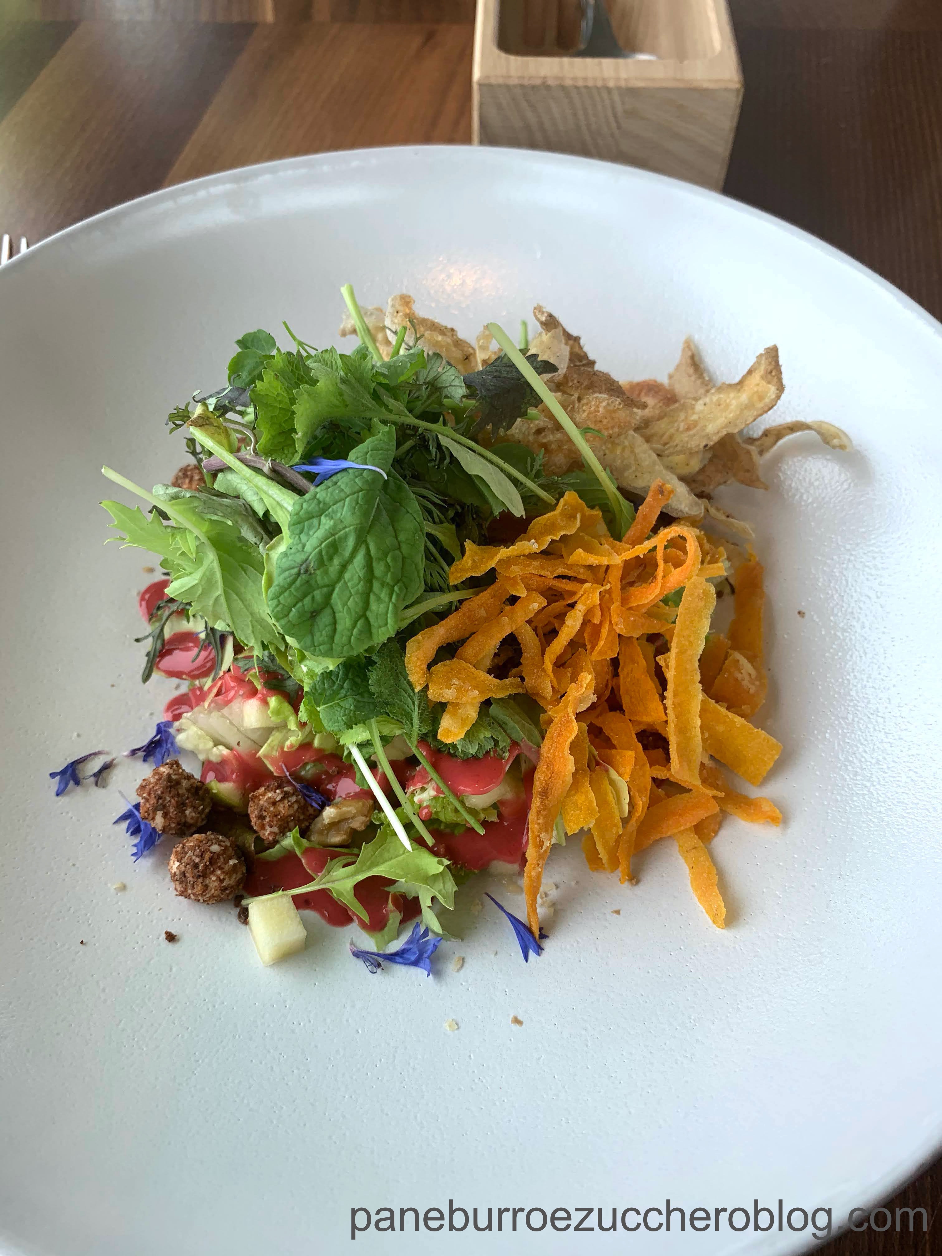insalata Norbert 1