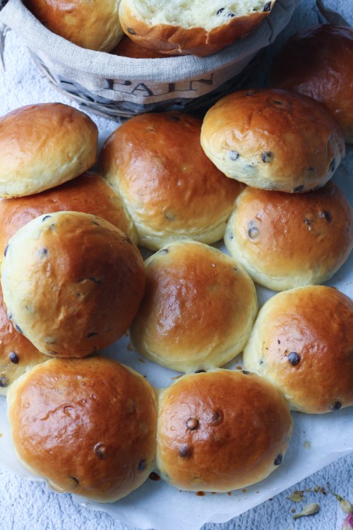 pan goccioli intermedia